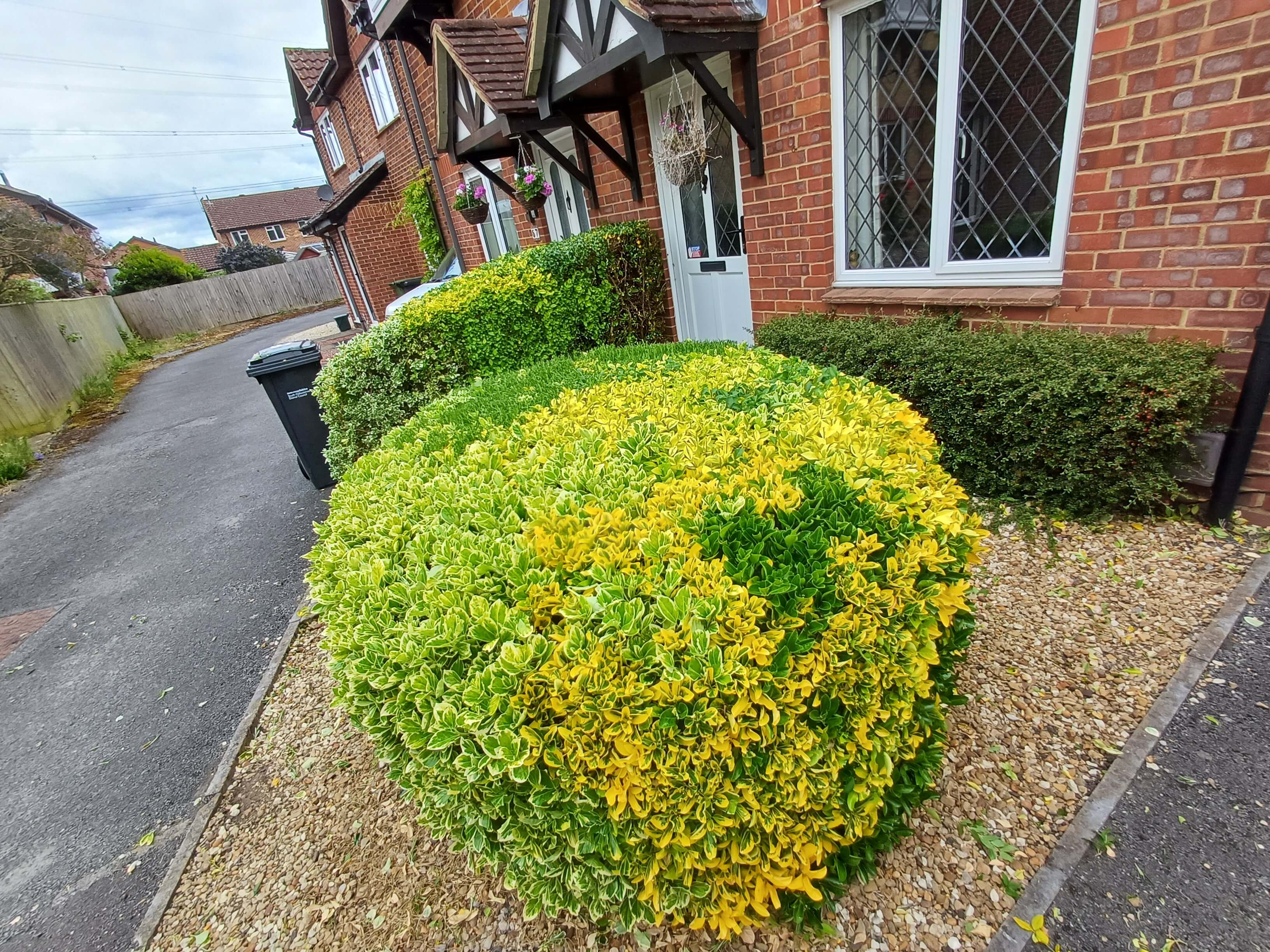 Professionally trimmed and shaped hedges at an Oxfordshire property — neat finish by JP Garden Maintenance