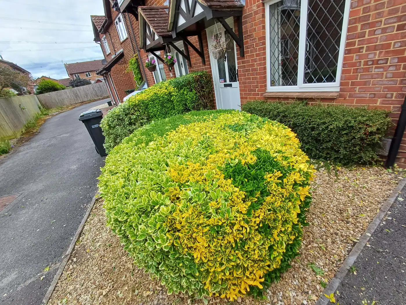 Professionally trimmed and shaped hedges at an Oxfordshire property — neat finish by JP Garden Maintenance